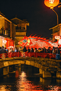 中国传统过年春节热闹灯会摄影图2
