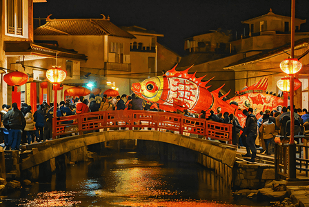 新年夜晚逛灯会看鱼灯摄影图2