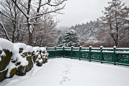 寒冷冬季庭院树木积雪图5图片