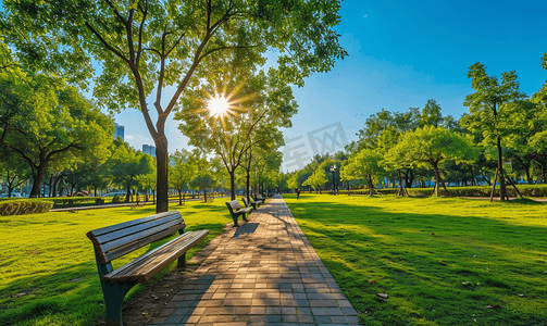 绿植背景素材摄影照片_阳光下的城市公园美景
