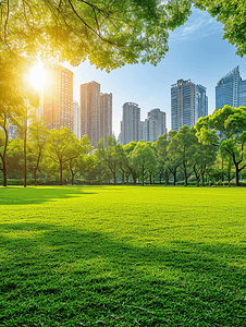 阳光下的城市公园美景