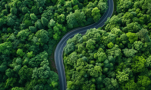 航拍蜿蜒道路与森林