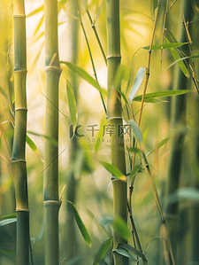 春天森林山上绿色竹子的背景图8