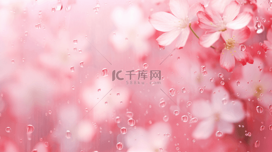 雨珠背景图片_浅景深虚化春天粉色桃花雨珠图片