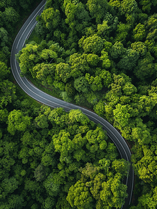 航拍蜿蜒道路与森林