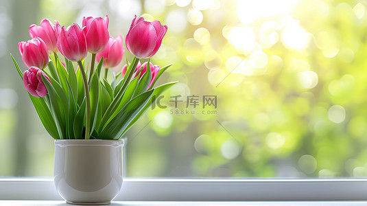 白色窗台春天郁金香盆栽设计图