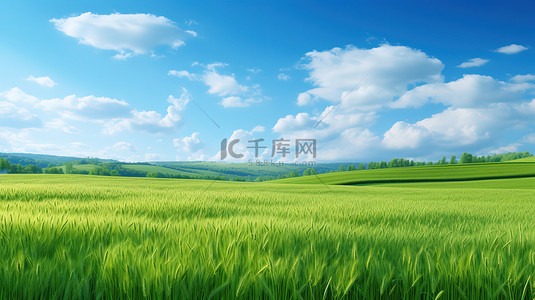 绿色农业背景图片_绿色的麦田和蔚蓝的天空设计图
