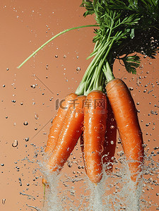蔬菜胡萝卜水花飞溅背景图片