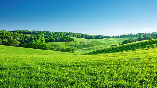 草地设计背景图片_春天晴朗天空的草原草地设计
