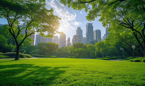 阳光下的城市公园美景