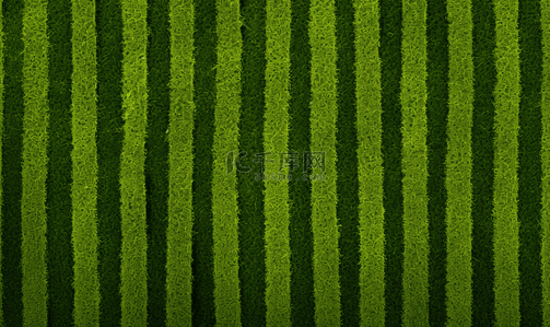 绿色植物背景纹理背景图片_简约绿色植物拼接纹理背景