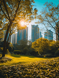 绿植背景素材摄影照片_阳光下的城市公园美景春天