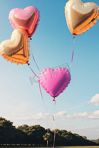 爱心盒饭摄影照片_情人节粉色气球图片8