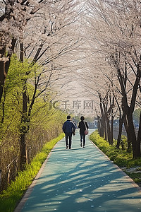 首尔南部，妇女们沿着一条种满樱花树的阳光明媚的小路行走