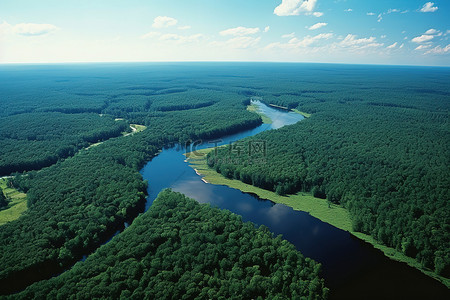 球赛背景图片_河流和森林的鸟瞰图