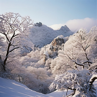 雪天，树木附近的雪覆盖着山脉