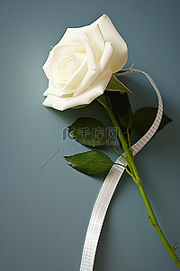 一朵白玫瑰，形状像管子，上面贴着胶带