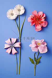 四朵花排列在蓝色表面的纸上
