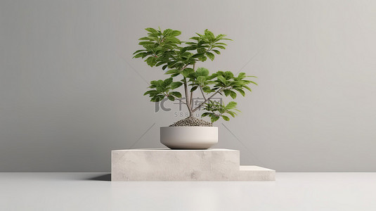 家居展台背景图片_时尚的基座平台，拥有简约的家居和令人惊叹的 3D 渲染天然植物
