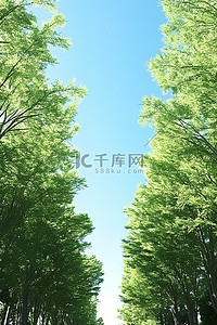 免费植物背景图片_森林中的街道树路3D模型免费下载