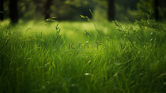 绿色生态叶子背景图片_草地植物大地叶子