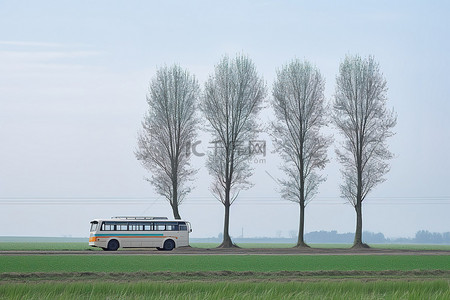 金麦田背景图片_一辆公共汽车停在一些树附近