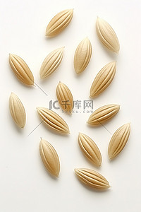 小棕色小麦豆粒种子