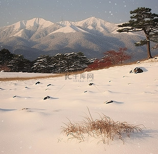 雪背景图片_雪地远眺，山峦叠翠