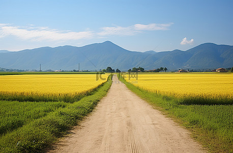 一条土路通向一片开阔的田野，山峦就在视野之外