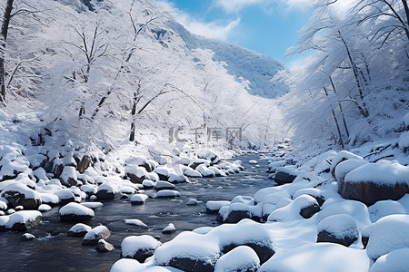 雪树背景图片_山中一条结冰的小溪，上面有一些树和雪