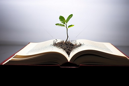 在一本打开的书里发芽植物的生根