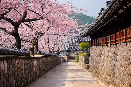 樱花街道背景图片_利川风景村是一条狭窄的街道，有石头建筑和树木