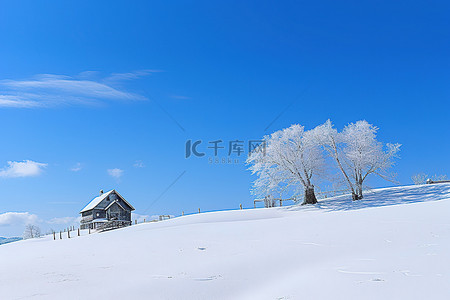 天空很蓝，地面被雪覆盖