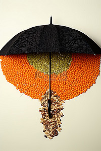 做的背景图片_用种子做的伞