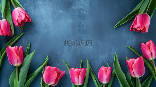 春天背景图片_郁金香花朵美丽的框架设计图