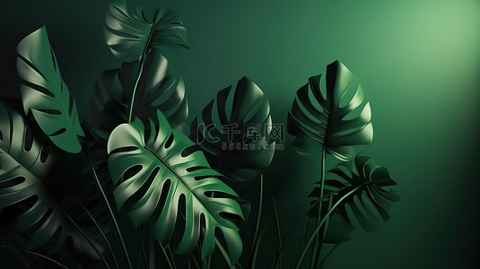 概念 3D 渲染最小绿色背景与阴影叶子