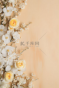 白色玫瑰背景图片_天然彩色画布上的白色和黄色花朵
