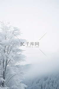 雪山风景背景图片_山脉和树木上有冰的白色风景