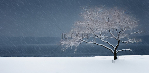 寒冷的雪天背景图片_雪天积雪的山上有两棵树