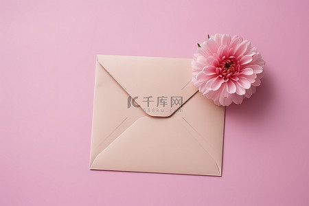 粉红色背景中信封里的一朵花
