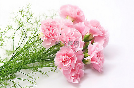 一束康乃馨背景图片_这是一束粉红色康乃馨和满天星的粉红色花束