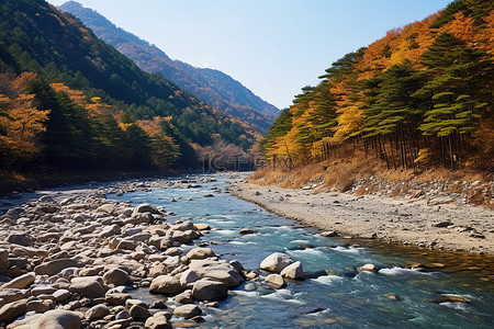 蹄背景图片_一条靠近山的秋天河流