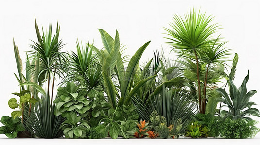 在白色背景上展示的热带植物 3d 模型
