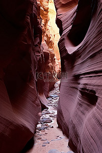 穿过峡谷的狭窄通道 摄影：jeff mckay