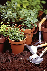 园林工具 工具和花盆都用于准备种植土壤