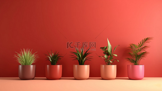 室内植物盆栽背景图片_充满活力的室内植物盆栽在彩色容器中，在大胆的红色背景下有足够的空间容纳您的信息 3D 渲染图像