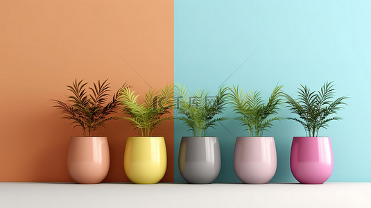 花店鲜花背景图片_充满活力的背景与彩色陶器和茂密的室内植物非常适合文本放置 3D 渲染