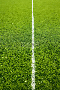 足球背景图片_草地上有线的足球场