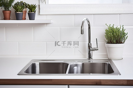 架子上背景图片_白色的厨房水槽和架子上展示着一些植物
