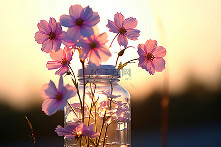 塑料瓶背景图片_里面有鲜花的小塑料瓶